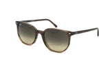 Ray-Ban Elliot RB2197