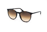 Ray-Ban RB2204