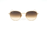 Ray-Ban RB3809