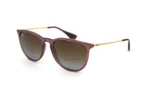 Ray-Ban Erika RB4171