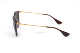 Ray-Ban Erika RB4171