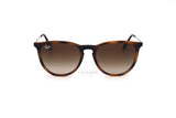 Ray-Ban Erika RB4171