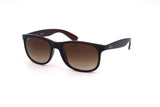 Ray-Ban Andy RB4202