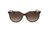 Ray-Ban RB4378